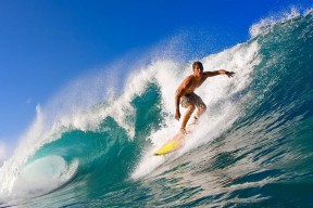 安卓版-逆风翻盘，极限之上—费德勒的十二场逆转奇迹与篮网的不屈征途